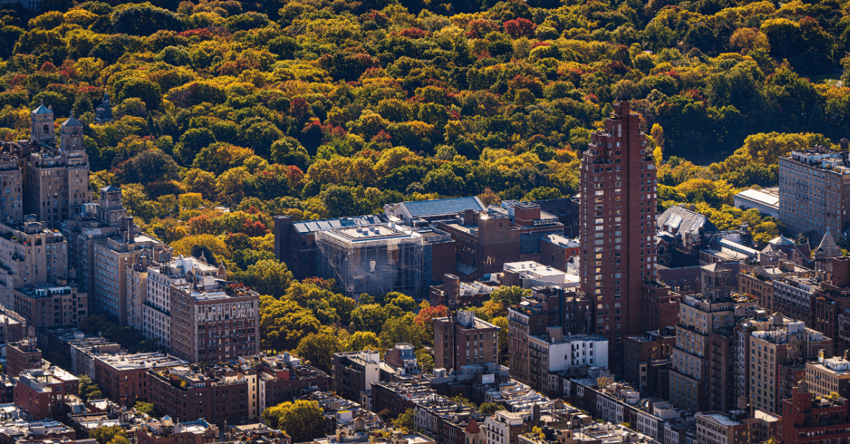 Aerial photo of a cityscape abutting a forest